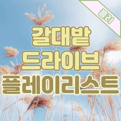 PLAYLIST🎧 끝없이 펼쳐진 갈대밭을 달리는 가을 드라이브