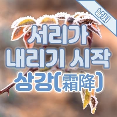 24절기에 대하여, 서리가 내리는 시기 '상강(霜降)'❄️