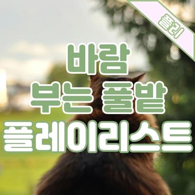 PLAYLIST🎧 시원한 바람 부는 풀밭 보며 듣는 음악🍃
