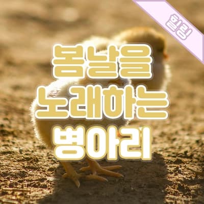 봄날을 노래하는 작고 귀여운 노란 병아리🐤