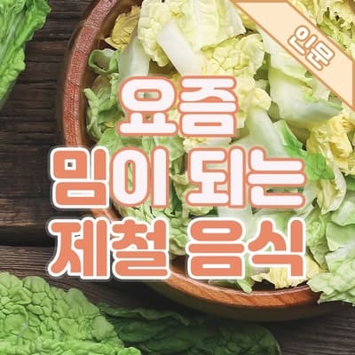두쫀쿠 다음은 봄동비빔밥? 🥗요즘 밈이 되는 제철 음식